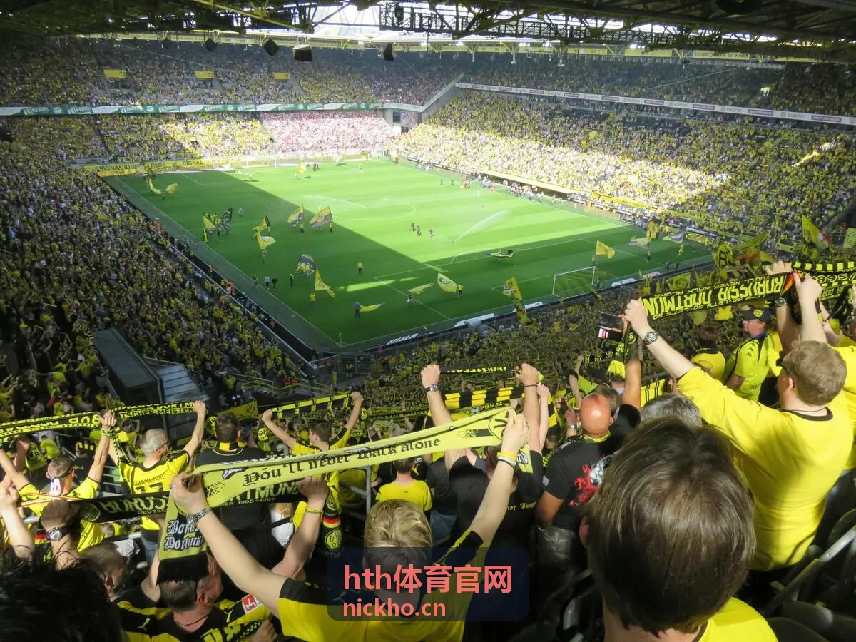 热门体育赛事观看方式介绍