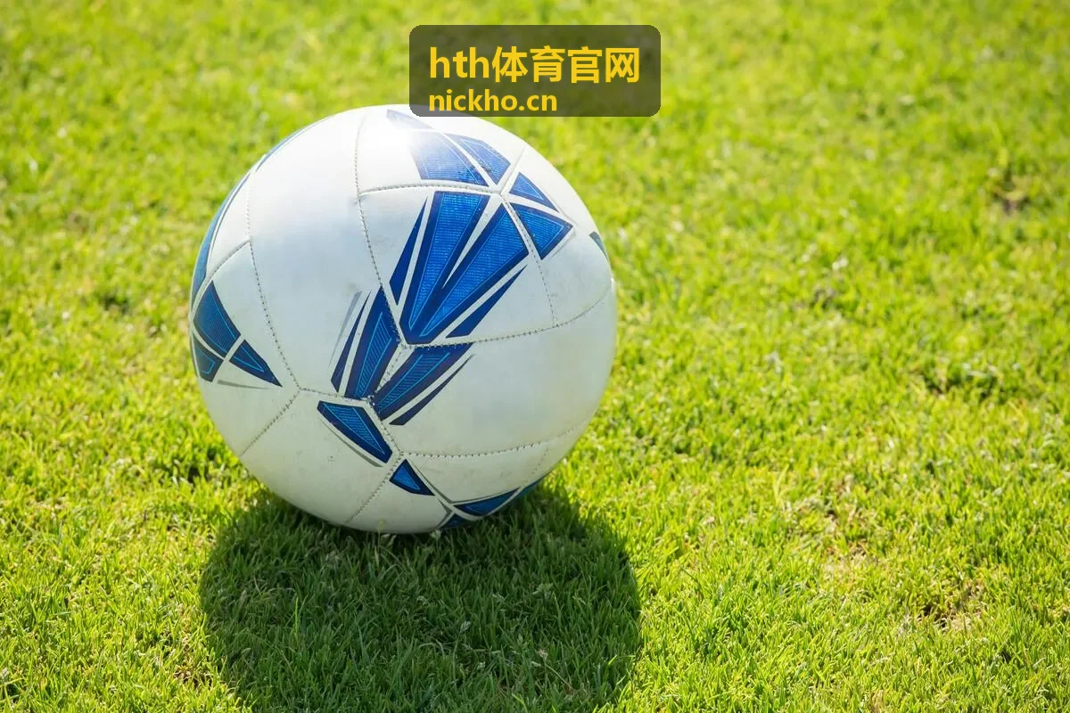 hth体育官网排球锦标赛看点