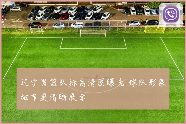 辽宁男篮队标高清图曝光 球队形象细节更清晰展示