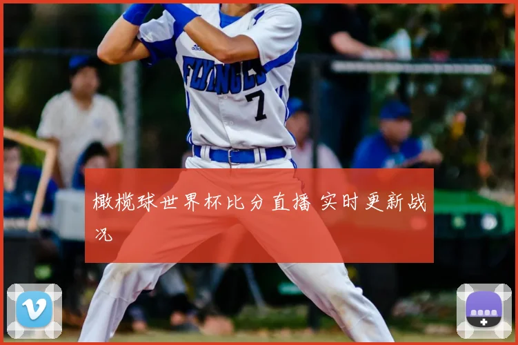 橄榄球世界杯比分直播 实时更新战况