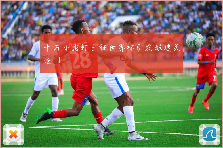 十万小龙虾出征世界杯引发球迷关注_1